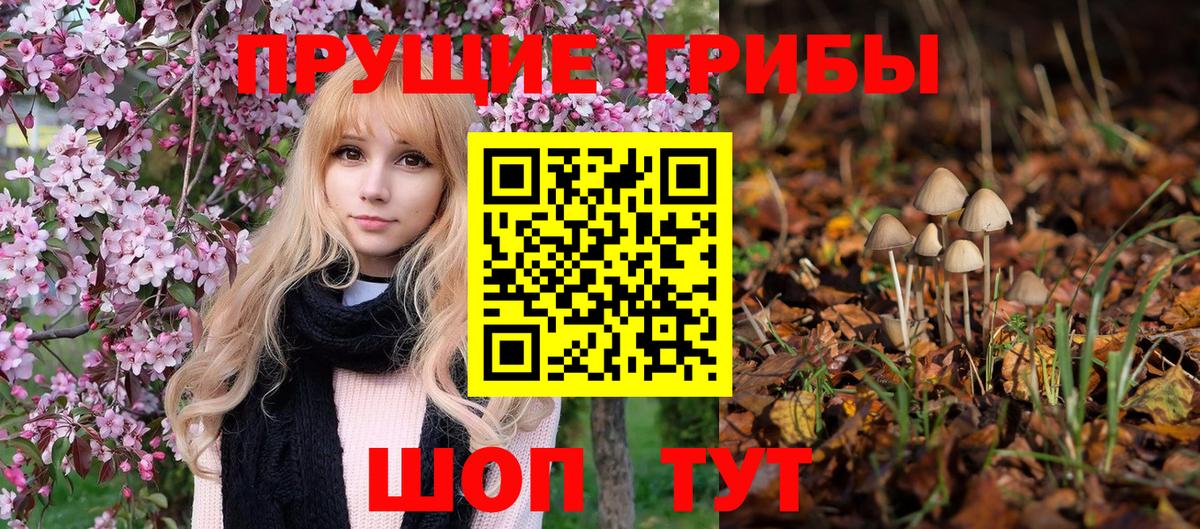 дарнет шоп  Вход с VPN  Воронеж  Псилоцибиновые грибы Psilocybine cubensis  Галлюциногенные грибы мухоморы 