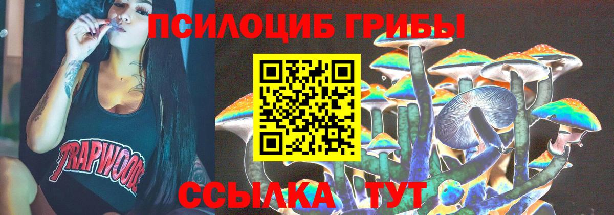 Галлюциногенные грибы Psilocybe Воронеж